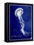 Marine Collection E-GI ArtLab-Framed Stretched Canvas