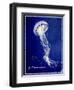 Marine Collection E-GI ArtLab-Framed Premium Giclee Print