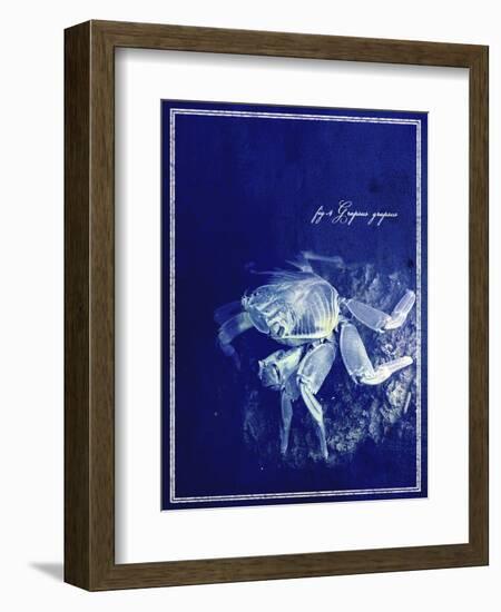 Marine Collection F-GI ArtLab-Framed Giclee Print