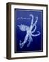 Marine Collection G-GI ArtLab-Framed Giclee Print