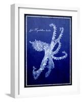 Marine Collection G-GI ArtLab-Framed Giclee Print