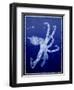 Marine Collection G-GI ArtLab-Framed Giclee Print