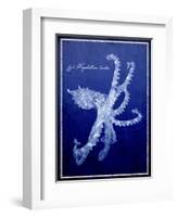 Marine Collection G-GI ArtLab-Framed Giclee Print