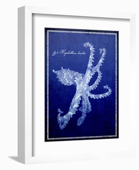 Marine Collection G-GI ArtLab-Framed Giclee Print