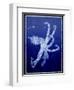 Marine Collection G-GI ArtLab-Framed Giclee Print