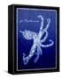 Marine Collection G-GI ArtLab-Framed Stretched Canvas