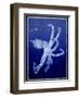 Marine Collection G-GI ArtLab-Framed Premium Giclee Print