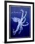 Marine Collection G-GI ArtLab-Framed Giclee Print