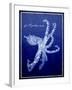 Marine Collection G-GI ArtLab-Framed Giclee Print