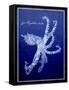 Marine Collection G-GI ArtLab-Framed Stretched Canvas