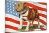 Marine Corp Boxer Dog with Flag-null-Mounted Art Print