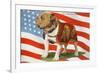 Marine Corp Boxer Dog with Flag-null-Framed Premium Giclee Print