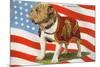 Marine Corp Boxer Dog with Flag-null-Mounted Premium Giclee Print