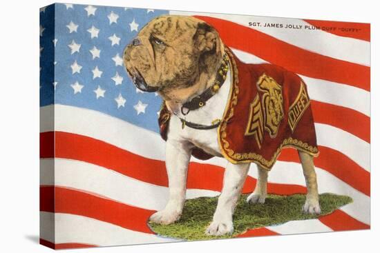 Marine Corp Boxer Dog with Flag-null-Stretched Canvas