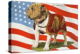 Marine Corp Boxer Dog with Flag-null-Stretched Canvas