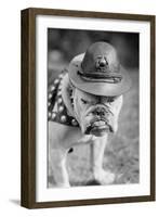 Marine Corps Mascot Looks Like the Average Drill Instructor-null-Framed Art Print