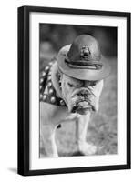 Marine Corps Mascot Looks Like the Average Drill Instructor-null-Framed Art Print