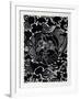 Marine Garden (Black)-Manuel Izqueirdo-Framed Limited Edition