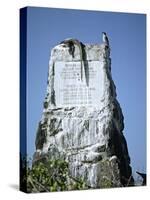 Marine Iguana and Galapagos Mockingbird Atop a Monument, Galapagos Islands, Ecuador-Charles Sleicher-Stretched Canvas