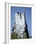 Marine Iguana and Galapagos Mockingbird Atop a Monument, Galapagos Islands, Ecuador-Charles Sleicher-Framed Photographic Print