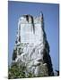 Marine Iguana and Galapagos Mockingbird Atop a Monument, Galapagos Islands, Ecuador-Charles Sleicher-Mounted Photographic Print