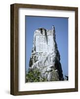 Marine Iguana and Galapagos Mockingbird Atop a Monument, Galapagos Islands, Ecuador-Charles Sleicher-Framed Photographic Print