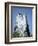 Marine Iguana and Galapagos Mockingbird Atop a Monument, Galapagos Islands, Ecuador-Charles Sleicher-Framed Photographic Print