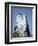 Marine Iguana and Galapagos Mockingbird Atop a Monument, Galapagos Islands, Ecuador-Charles Sleicher-Framed Photographic Print