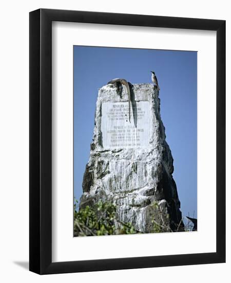 Marine Iguana and Galapagos Mockingbird Atop a Monument, Galapagos Islands, Ecuador-Charles Sleicher-Framed Photographic Print