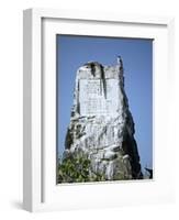 Marine Iguana and Galapagos Mockingbird Atop a Monument, Galapagos Islands, Ecuador-Charles Sleicher-Framed Photographic Print