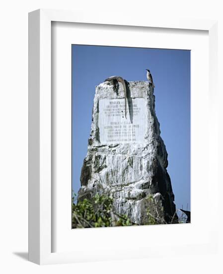 Marine Iguana and Galapagos Mockingbird Atop a Monument, Galapagos Islands, Ecuador-Charles Sleicher-Framed Photographic Print