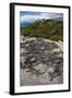 Marine Iguana, Fernandina Island, Galapagos Islands, Ecuador-Pete Oxford-Framed Photographic Print