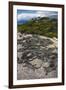 Marine Iguana, Fernandina Island, Galapagos Islands, Ecuador-Pete Oxford-Framed Premium Photographic Print