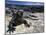 Marine Iguana, Galapagos Islands, Ecuador-Gavriel Jecan-Mounted Photographic Print