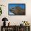 Marine Iguana, Galapagos Islands, Ecuador-Art Wolfe-Framed Photographic Print displayed on a wall