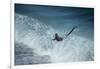 Marine iguana in surf, Fernandina Island, Galapagos-Tui De Roy-Framed Photographic Print