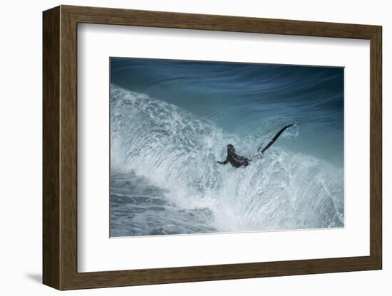 Marine iguana in surf, Fernandina Island, Galapagos-Tui De Roy-Framed Photographic Print