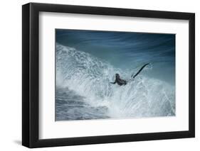 Marine iguana in surf, Fernandina Island, Galapagos-Tui De Roy-Framed Photographic Print