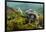 Marine Iguana Underwater, Fernandina Island, Galapagos, Ecuador-Pete Oxford-Framed Photographic Print