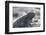 Marine Iguana-DLILLC-Framed Photographic Print