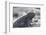 Marine Iguana-DLILLC-Framed Photographic Print