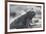 Marine Iguana-DLILLC-Framed Photographic Print