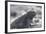 Marine Iguana-DLILLC-Framed Photographic Print