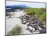 Marine Iguanas (Amblyrhynchus Cristatus), Isla Isabela, Galapagos Islands, Ecuador-Christian Kober-Mounted Photographic Print