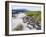 Marine Iguanas (Amblyrhynchus Cristatus), Isla Isabela, Galapagos Islands, Ecuador-Christian Kober-Framed Photographic Print