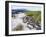 Marine Iguanas (Amblyrhynchus Cristatus), Isla Isabela, Galapagos Islands, Ecuador-Christian Kober-Framed Photographic Print