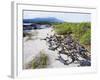 Marine Iguanas (Amblyrhynchus Cristatus), Isla Isabela, Galapagos Islands, Ecuador-Christian Kober-Framed Photographic Print