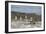 Marine Iguanas Relaxing on a Rock-DLILLC-Framed Photographic Print