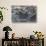 Marine Iguanas-DLILLC-Stretched Canvas displayed on a wall