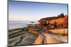 Marine Landscape in Acadia, Park Loop Road, Acadia National Park, Maine-Mircea Costina-Mounted Photographic Print